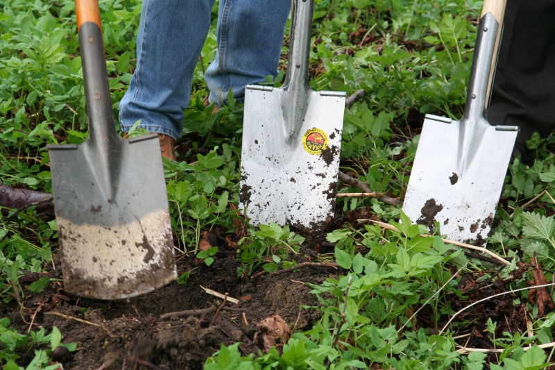 pepiniere-THIERY-min_work-lawn-flower-tool-green-backyard-1103633-pxhere.com